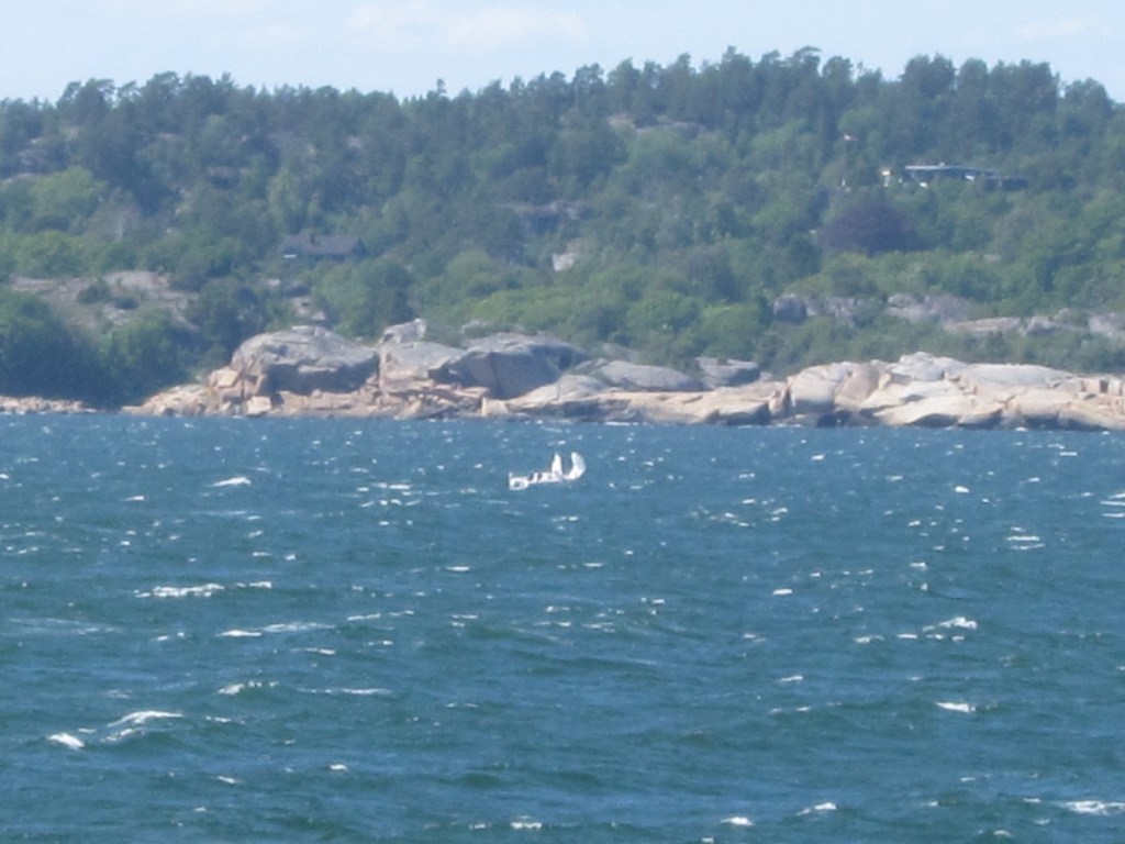 En seilbåt som sliter med seilene sine på grunn av sterk vind. Senere ser vi at seilene har kommet opp igjen. (foto Terje Rønning).