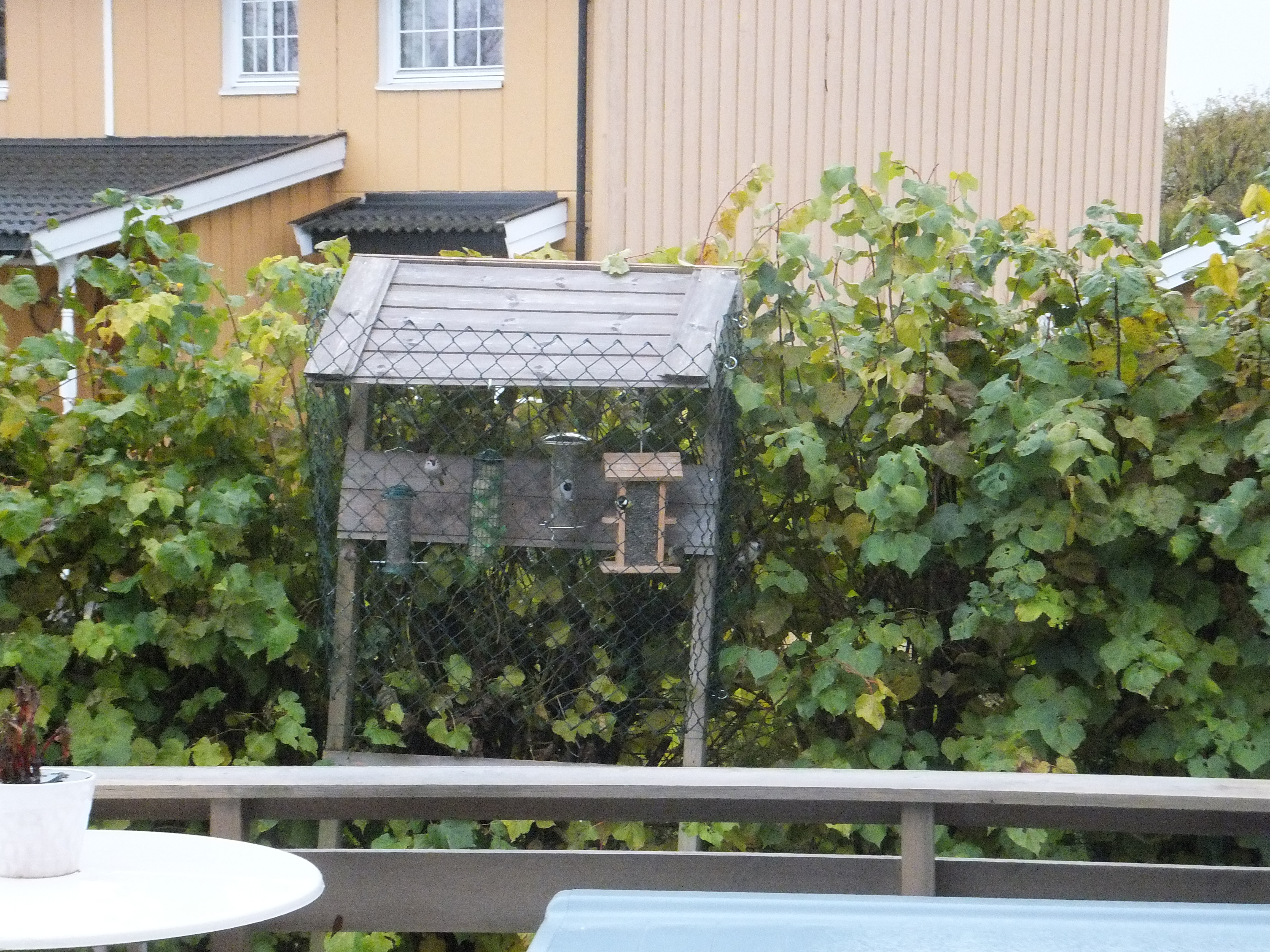 2012 10 24 (2) - Matestasjonen for småfuglene