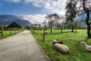 Bondegård i Østerrike
