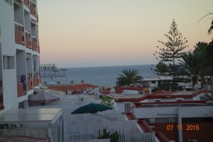 DSC06690