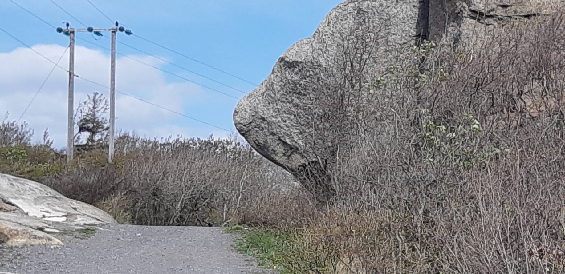 2019 05 05 - Folehavna